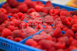 Лозница - фестивал на малината