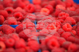 Лозница - фестивал на малината