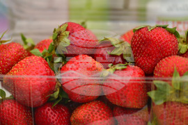 Лозница - фестивал на малината