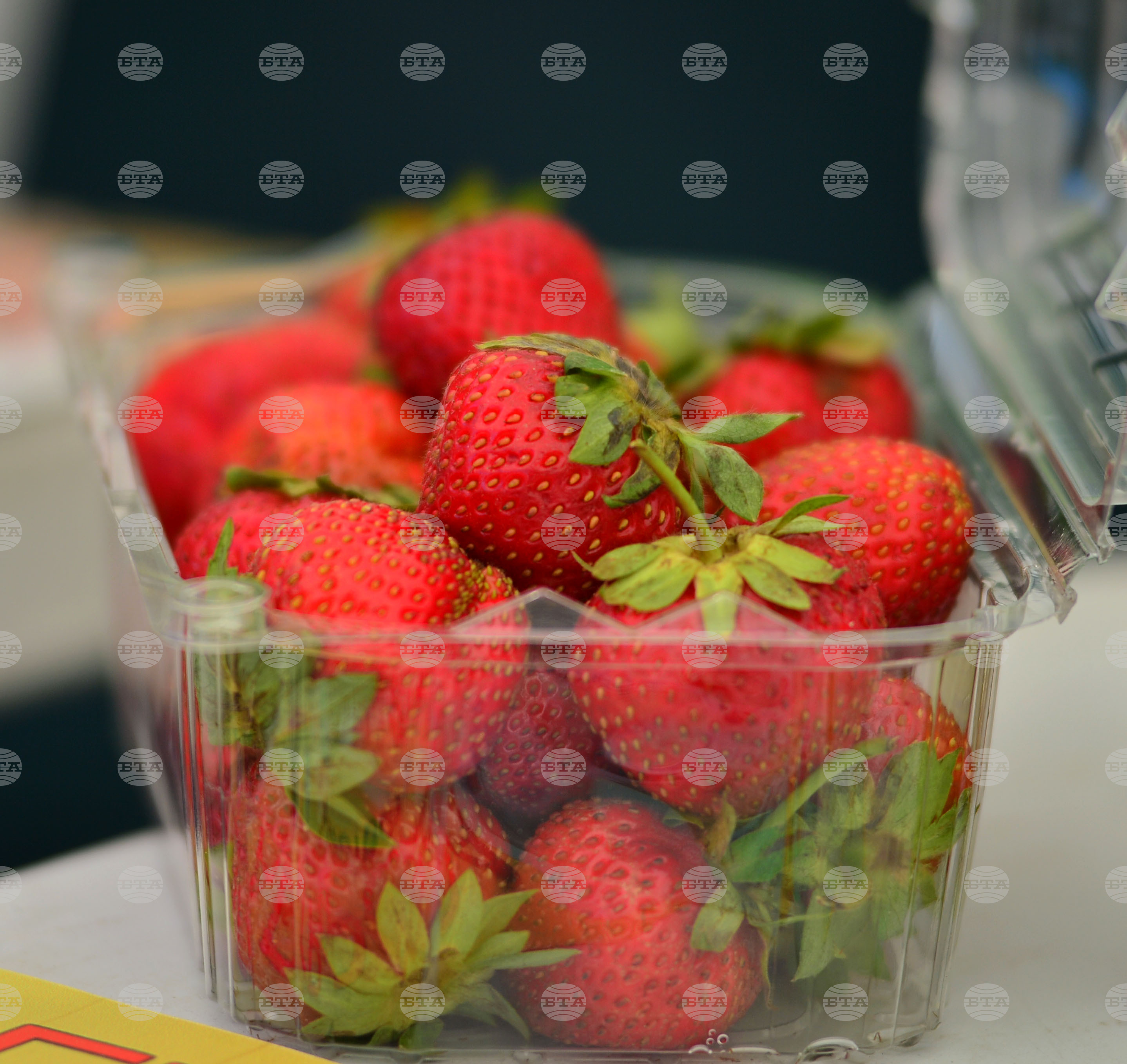 Лозница - фестивал на малината