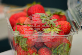 Лозница - фестивал на малината