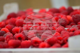 Лозница - фестивал на малината