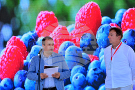 Лозница - фестивал на малината