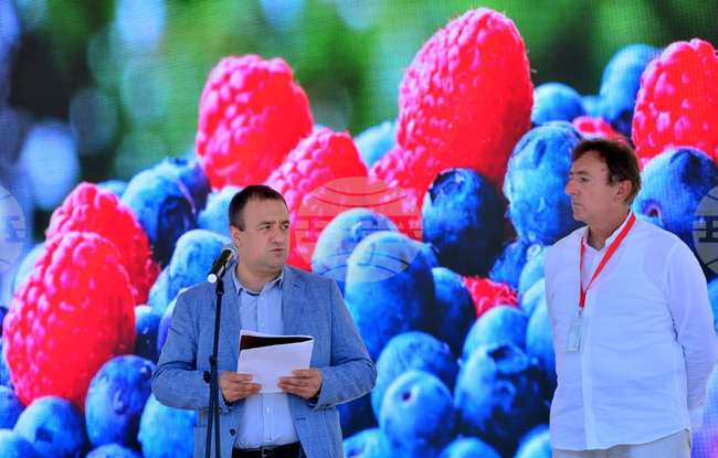 Лозница - фестивал на малината