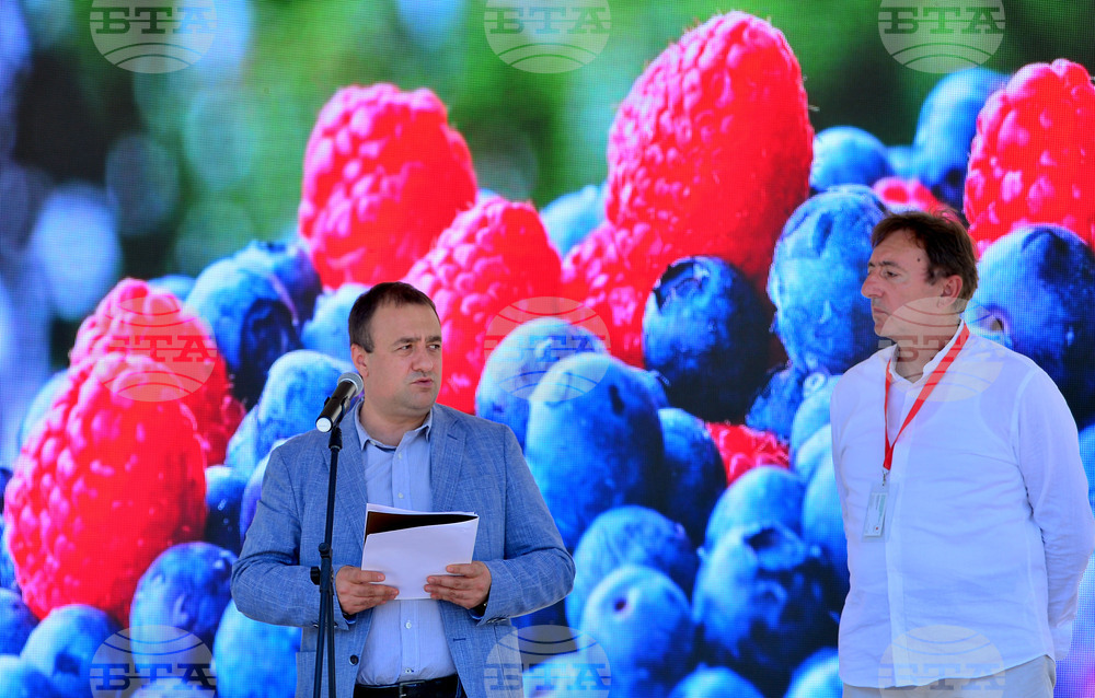 Лозница - фестивал на малината