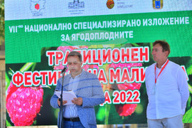 Лозница - фестивал на малината