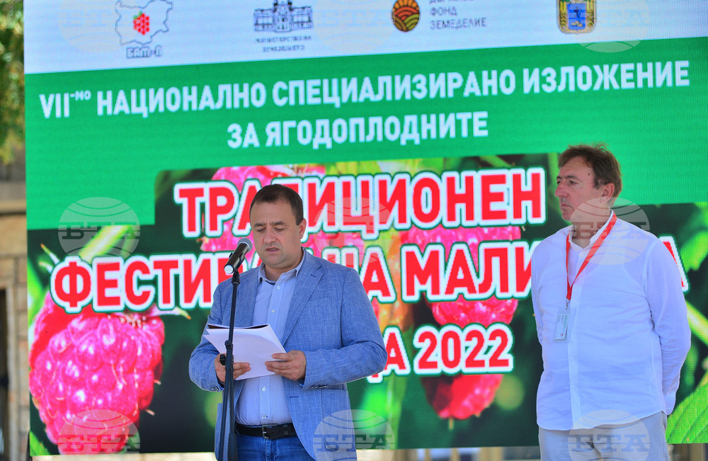 Лозница - фестивал на малината