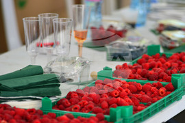 Лозница - фестивал на малината