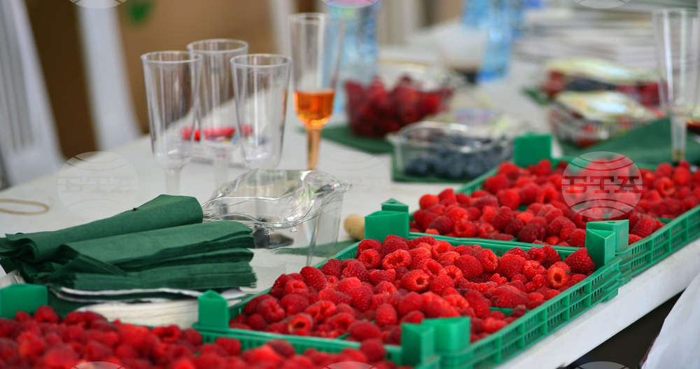 Лозница - фестивал на малината