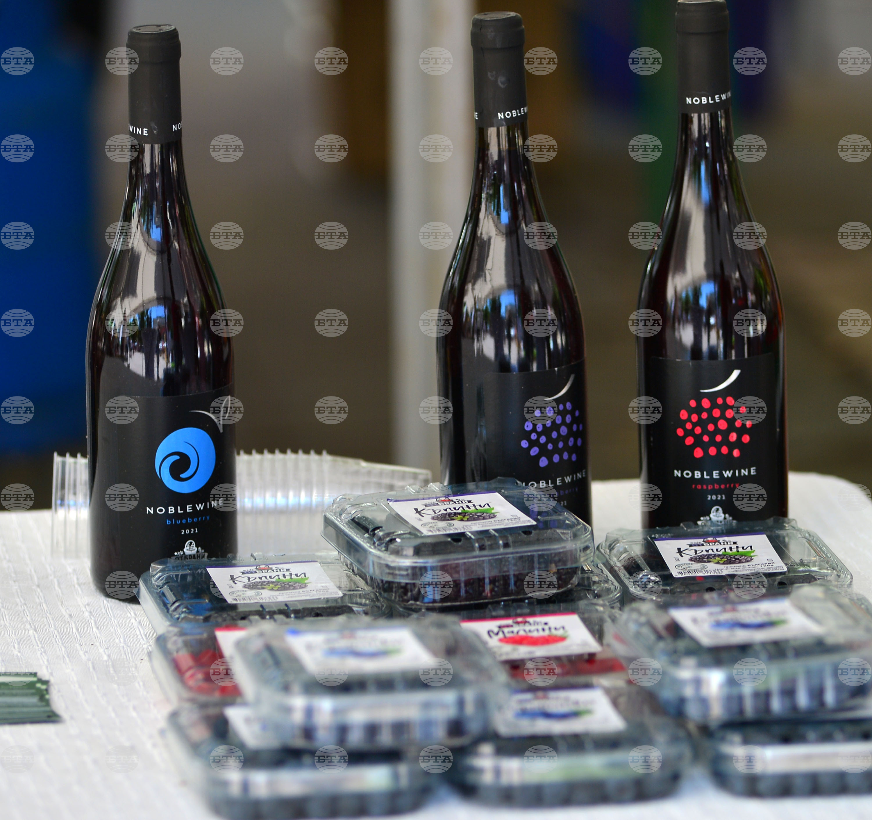 Лозница - фестивал на малината