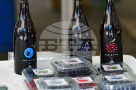 Лозница - фестивал на малината