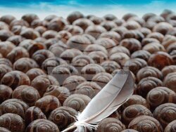 Снимка: Столична община