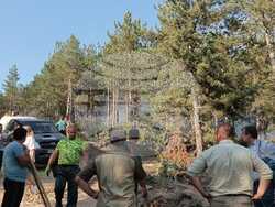 Снимка: Министерство на земеделието