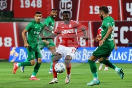 Футбол - ЦСКА 1948 - Лудогорец