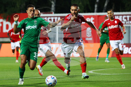 Футбол - ЦСКА 1948 - Лудогорец