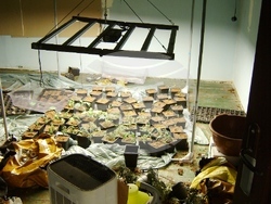 Снимка: МВР