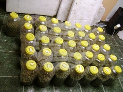 Снимка: МВР