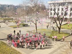 Снимка: Община Плевен