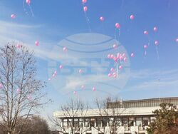 Снимка: Община Плевен