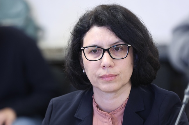 Има масово фабрикуване на документи, с които се кандидатства за българско гражданство, каза Катя Матева, директор на дирекция „Българско гражданство“