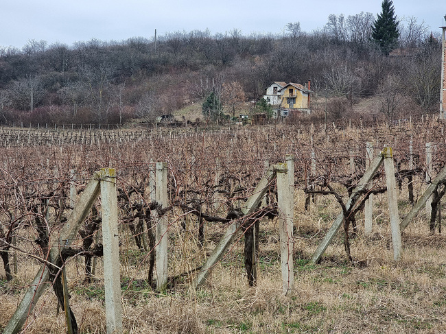Bulgaria and Moldova to Cooperate in Agriculture, Agrarian Science and Development of Rural Areas