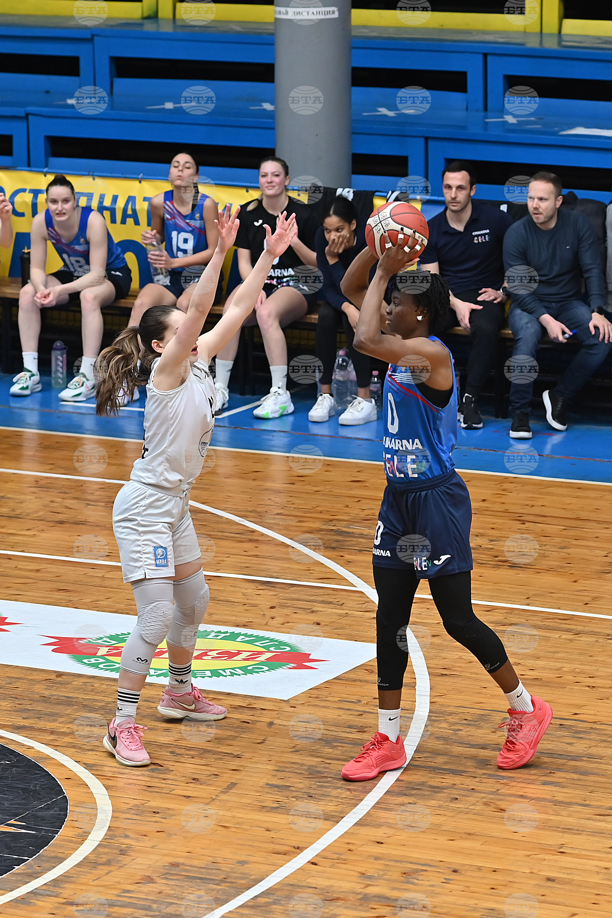 Монтана - баскетбол - Монтана - Атлет Целие