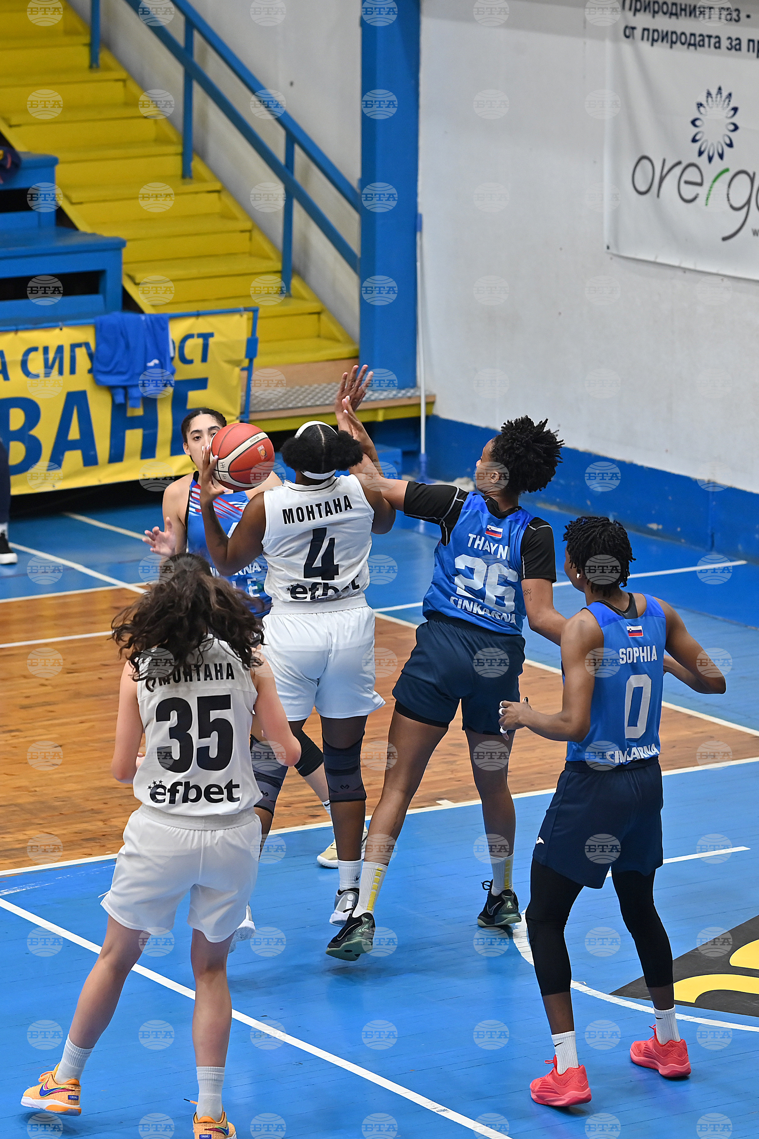 Монтана - баскетбол - Монтана - Атлет Целие