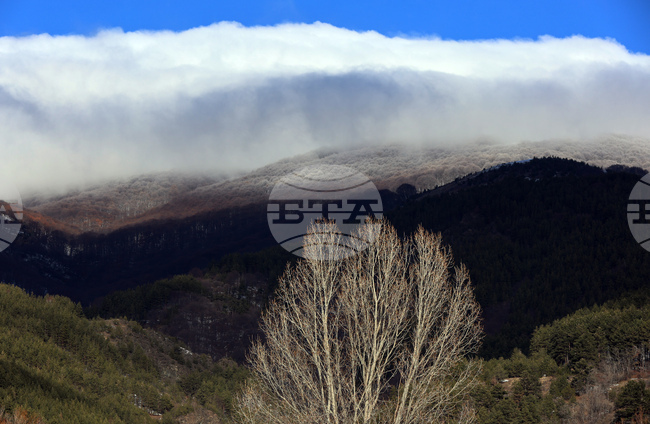 Прогноза за времето 