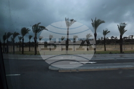 Алжир -  Форум на страните износителки на газ (GECF)