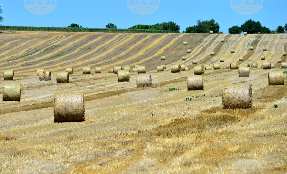 Село Ловско - земеделие