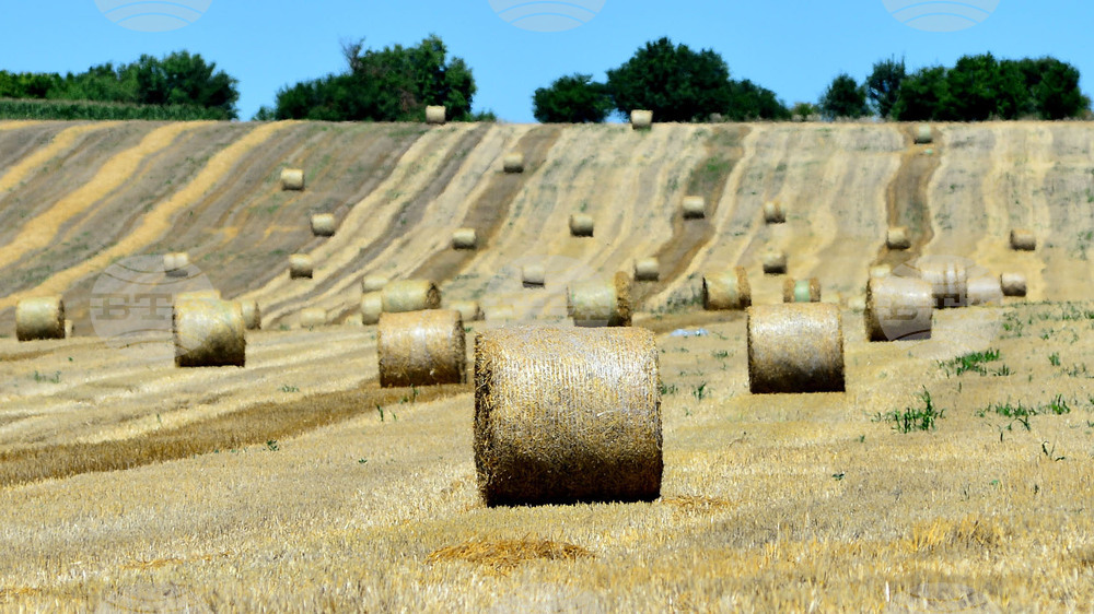 Село Ловско - земеделие
