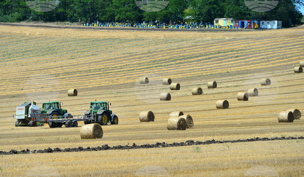 Село Ловско - земеделие