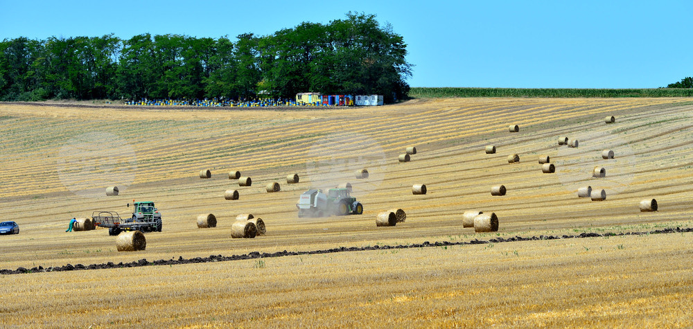 Село Ловско - земеделие