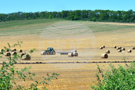 Село Ловско - земеделие