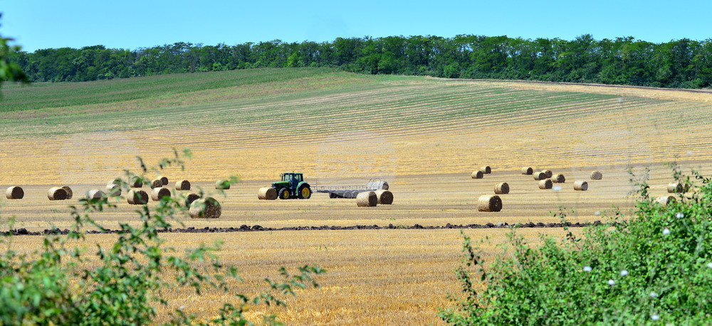 Село Ловско - земеделие