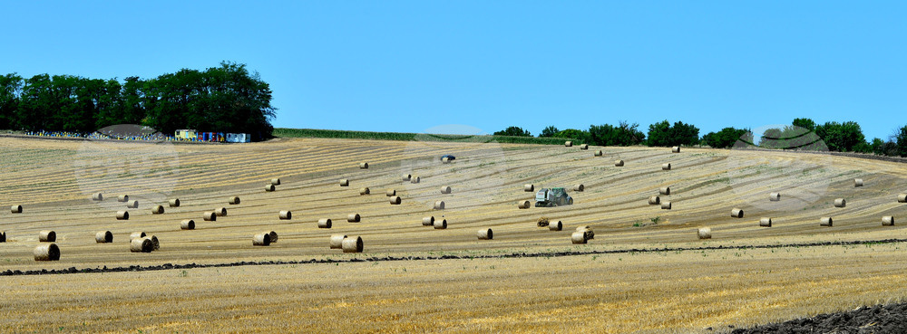 Село Ловско - земеделие
