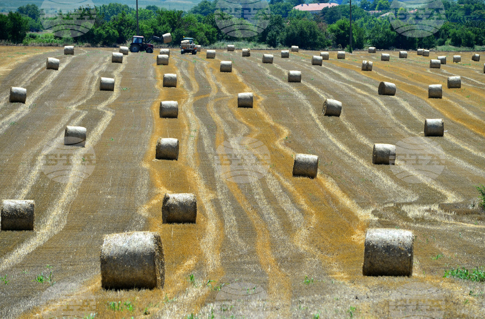 Село Ловско - земеделие