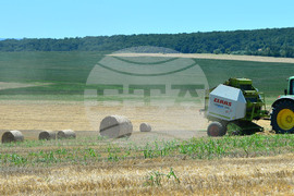 Село Ловско - земеделие