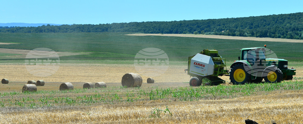 Село Ловско - земеделие