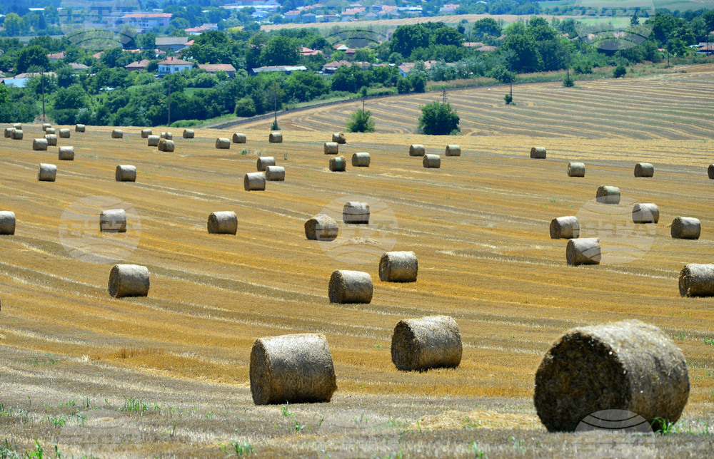 Село Ловско - земеделие