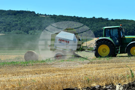 Село Ловско - земеделие