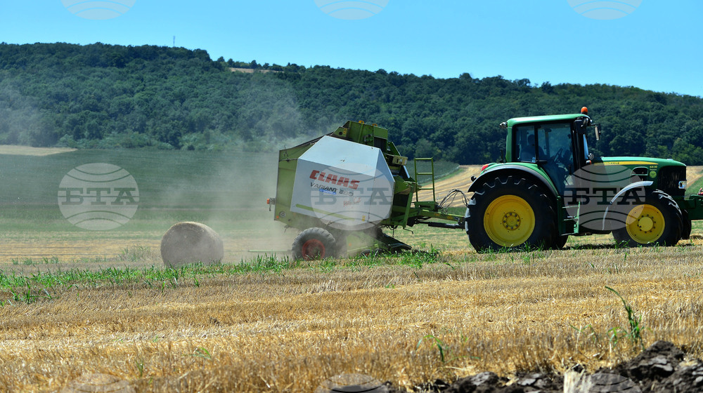 Село Ловско - земеделие