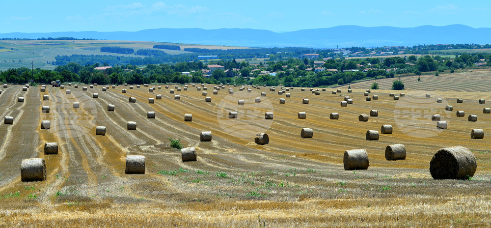 Село Ловско - земеделие