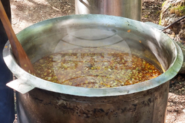 Село Рибарица -  празник на народния обичай