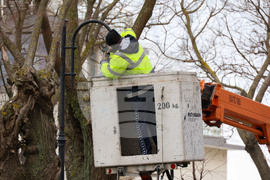 Бургас - Морска градина - осветление