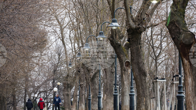 Дезинфекционната станция в Бургас започва сезонна обработка срещу кърлежи и гризачи