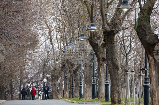 Дезинфекционната станция в Бургас започва сезонна обработка срещу кърлежи и гризачи