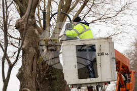 Бургас - Морска градина - осветление