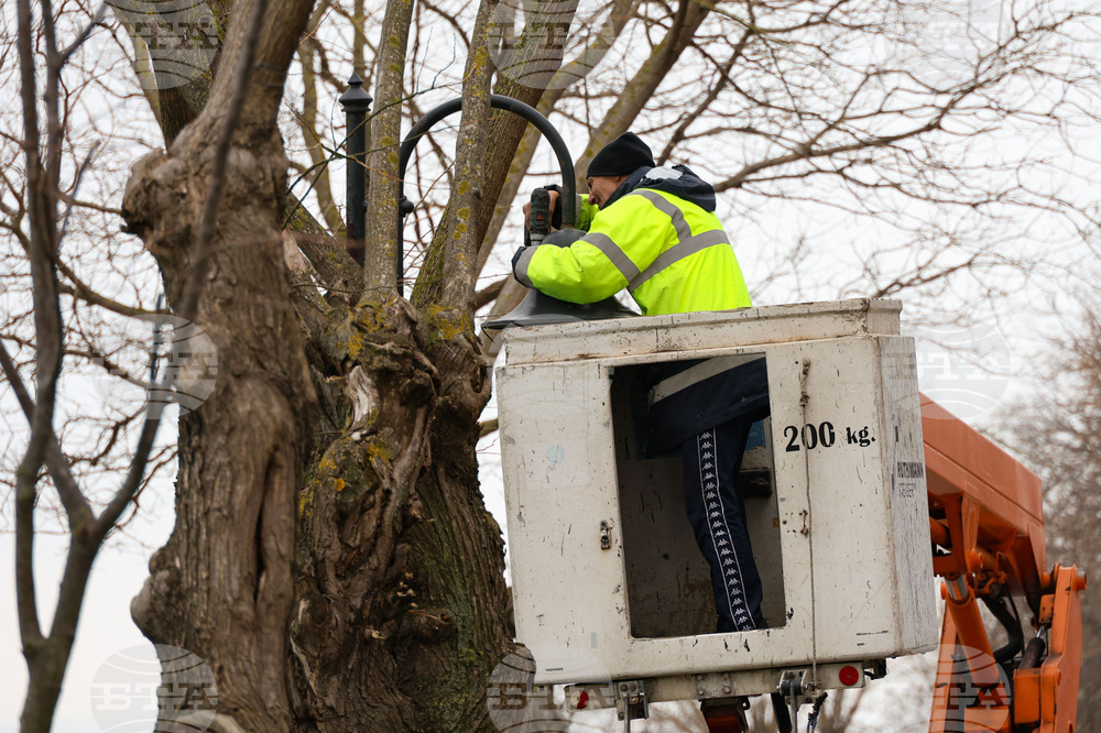 Бургас - Морска градина - осветление