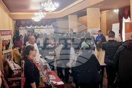 Плевен - университети - изложение